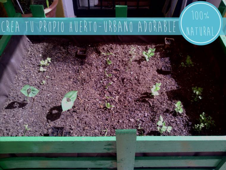 Como hacer tu propio huerto urbano adorable