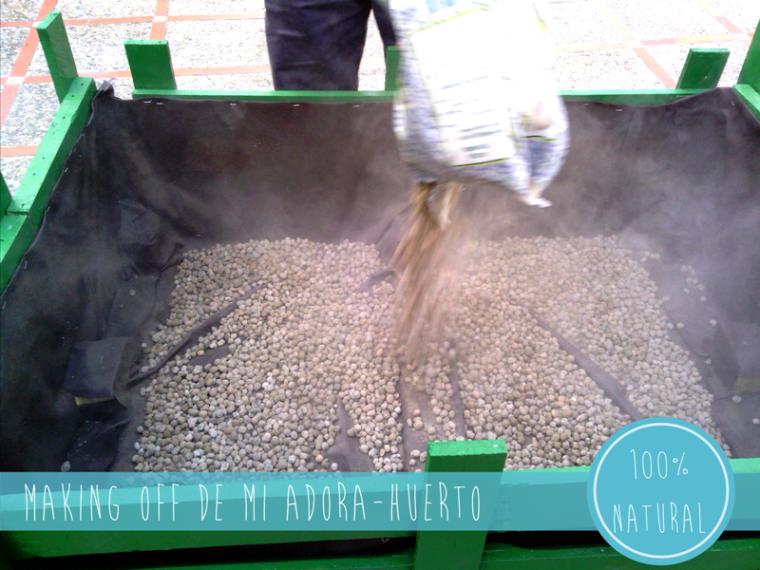 Poniendo las piedrecitas para el drenaje!