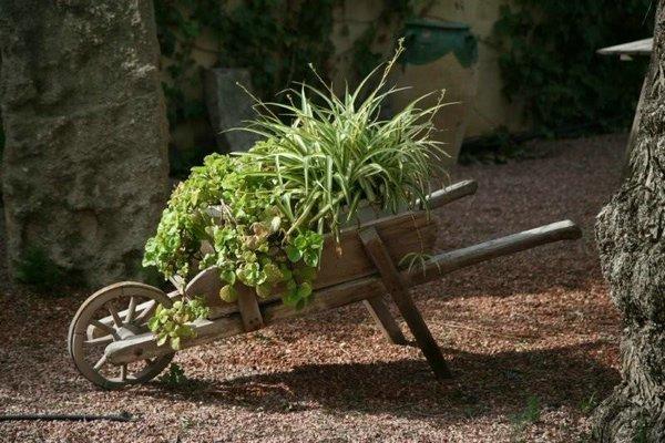 adoraideas-jardines-plantas