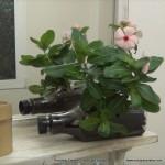 Top 50 Recycled, Reused and Upcycled, The Reuse Factory. Los + de Reciclado Creativo, (32)