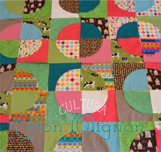 Quilt Dando Vueltas Bloques Cultura Coton Mignon