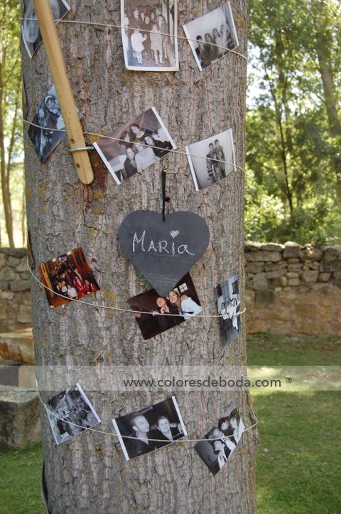 colores-de-boda-tendedero-fotos-arbol