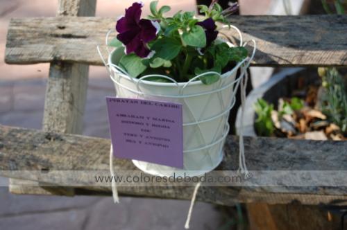 colores-de-boda-protocolo-macetas-plantas