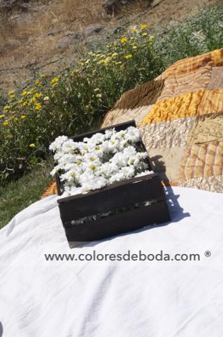 7-child-out-mantas-5