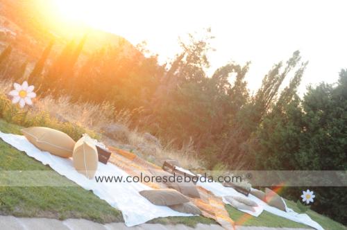 7-chill-out-mantas-2