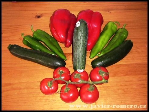 Escalibada-con-ventresca-de-atun-003