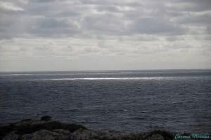 am_26432_772345_237279