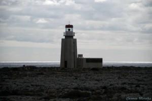 am_26432_772350_919485