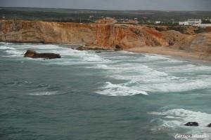 am_26432_772426_579349