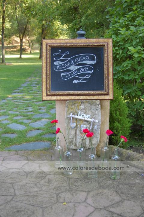 0-colores-de-boda-bienvenida-clavel-fucsia-1