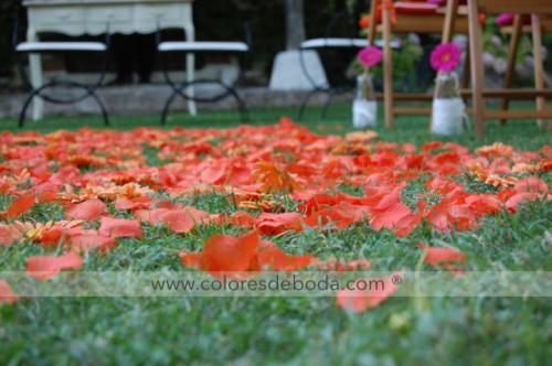 1-colores-de-boda-ceremonia-fucsia-naranja-96