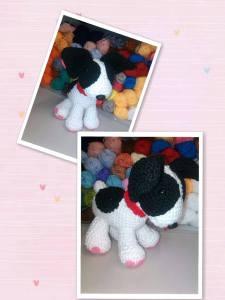 858916_240273466137342_306888949_o