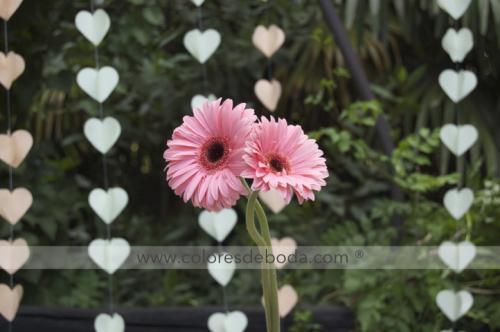 ceremonia-cadenetas-corazon-9