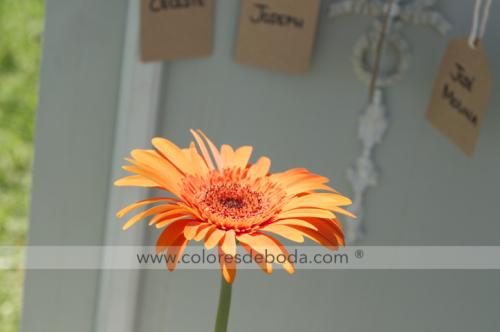 7-seating-etiquetas-chapas-999