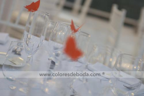 9-centro-mesa-viajes-mariposa-3