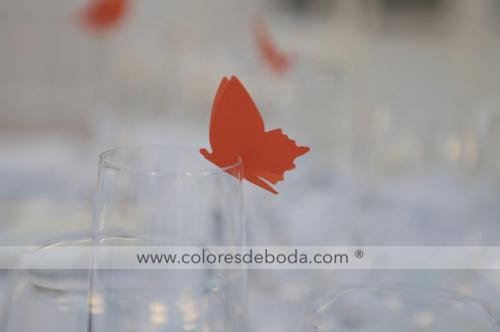 9-centro-mesa-viajes-mariposa-4