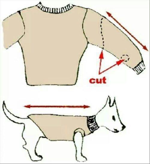 Cómo hacer un jersey de perro o gato en 10 minutos | Mascotas