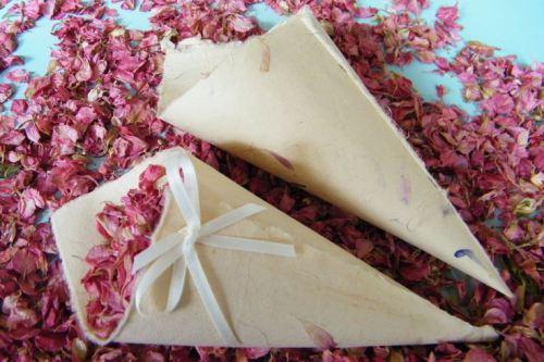 colores-de-boda-salida-novios-flores-secas-3