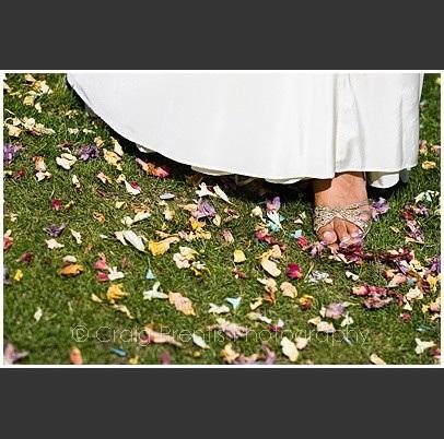 colores-de-boda-salida-novios-flores-secas-2