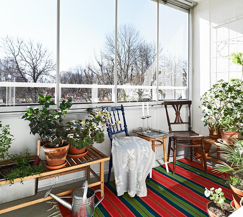 balcón con plantas_apartamento masculino_exteriorconvistas