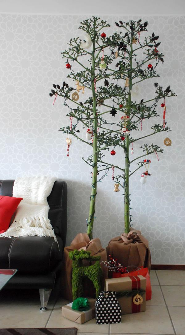 casa-haus-quiote-arbol-navidad