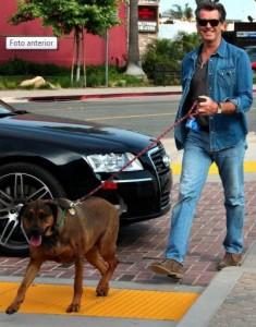 masccotas de famosos