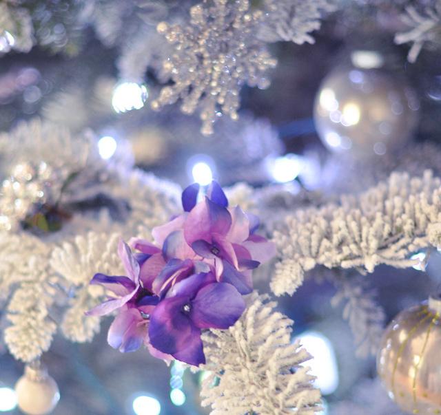 6464628377_79ddecf516_o