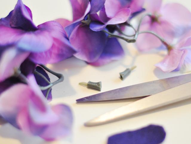 6462370333_dc65b7f828_o