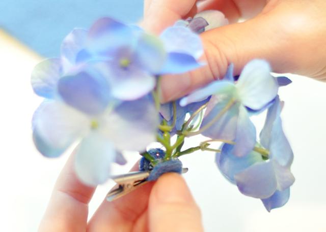 6462370677_7e0ab97699_o