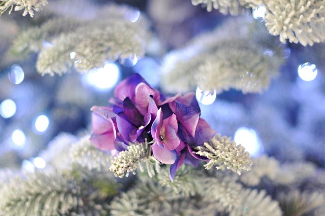 6462371933_cf43b2ba5a_o