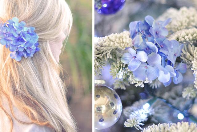 6464528017_7b97f2fb60_z (1)