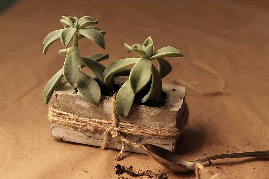 ¡¡¡tachannnnnn!!!