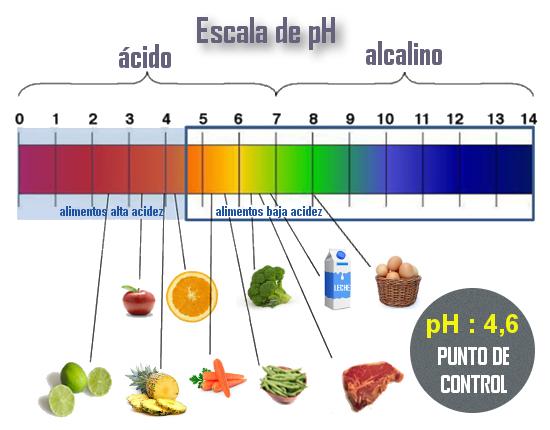 desintoxicar ph La Importancia de Desintoxicar el Organismo