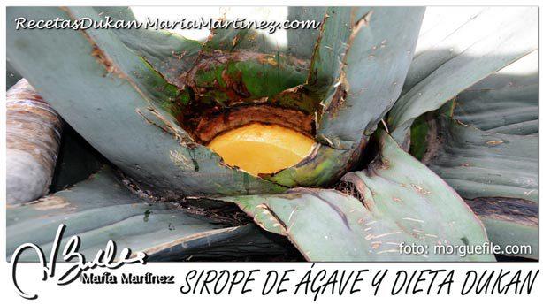 Sirope de Ágave y dieta Dukan: NO apto para Ataque o Crucero