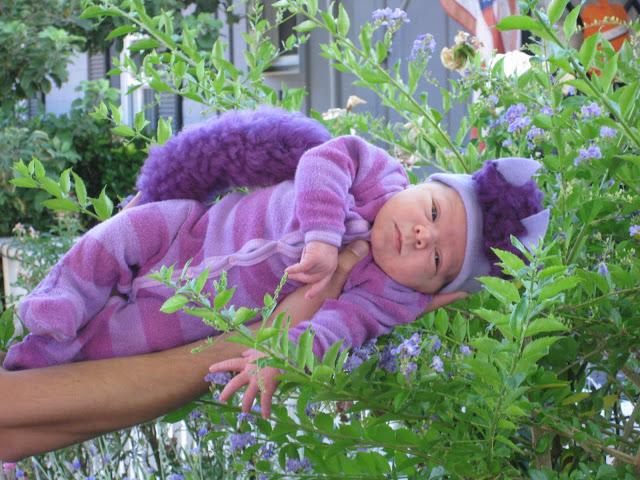 disfraz-carnaval-adoraideas