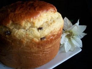 http://lacocinadeuliana.wordpress.com/2011/12/07/panettone/