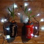 Jardín Vertical Cocacola #compartecocacolacon reciclado creativo rosa montesa
