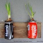 Jardín Vertical Cocacola #compartecocacolacon reciclado creativo rosa montesa