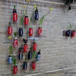 Jardín Vertical Cocacola #compartecocacolacon reciclado creativo rosa montesa