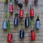 Jardín vertical realizado con botes de cocacola. #compartecocacolacon Rosa Montesa . Reciclado Creativo