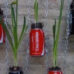 Jardín vertical realizado con botes de cocacola. #compartecocacolacon Rosa Montesa . Reciclado Creativo