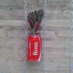 Jardín vertical realizado con botes de cocacola. #compartecocacolacon Rosa Montesa . Reciclado Creativo