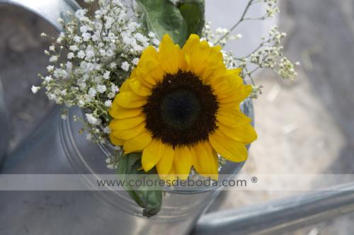 colores-de-boda-lecheras-girasoles-pasillo
