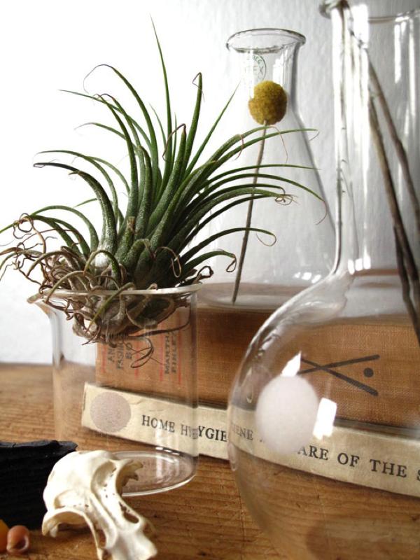 3. jarrón probeta_exterior con vistas_blog de decoración