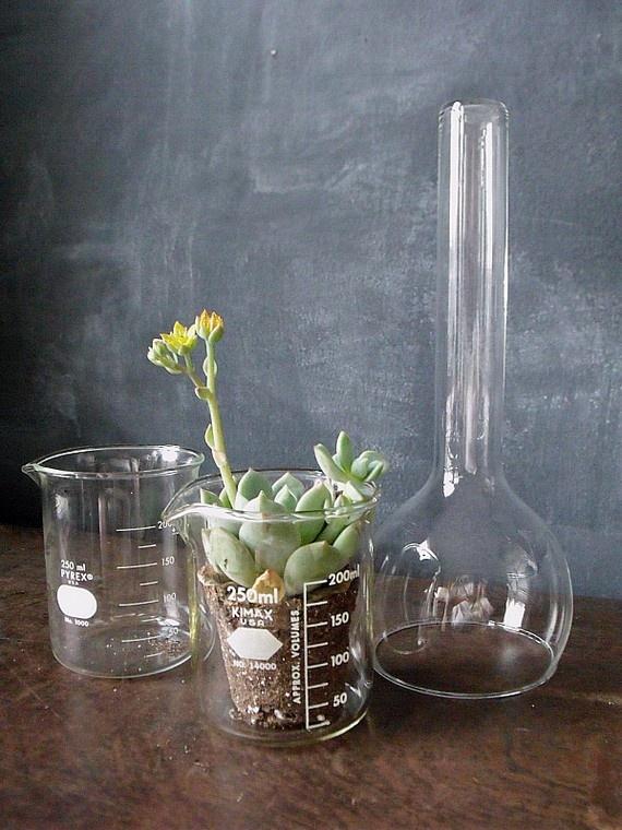 11. jarrón probeta_exterior con vistas_blog decoracion