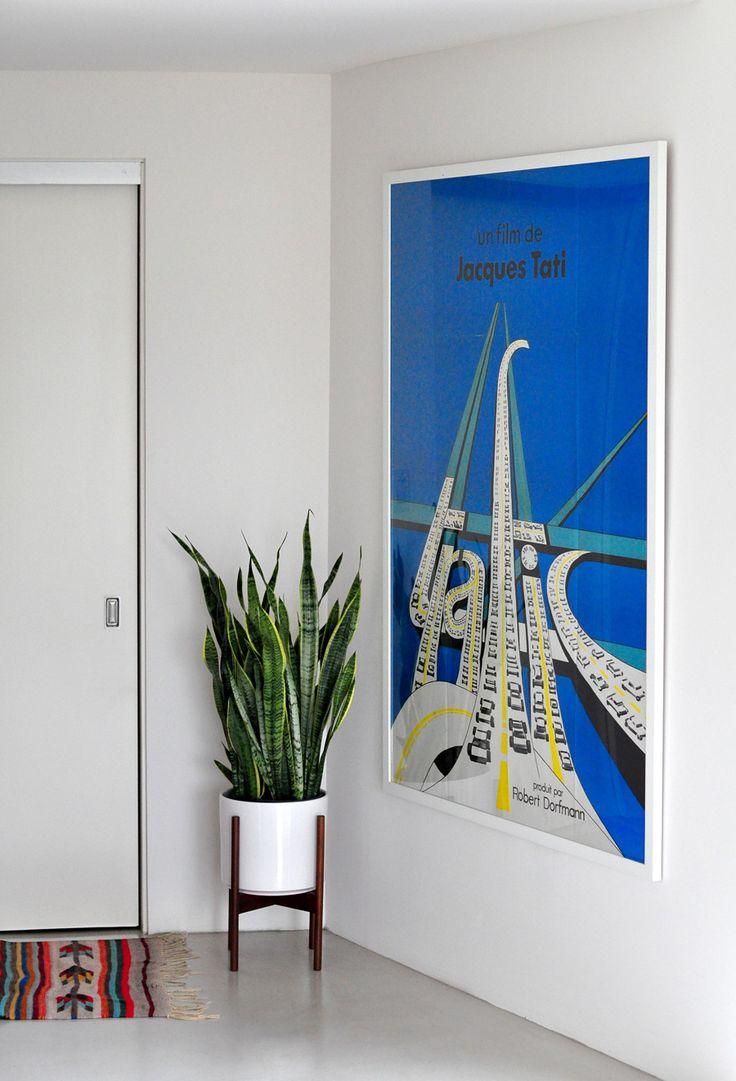 8. decorar con plantas_exterior con vitas_blog decoración