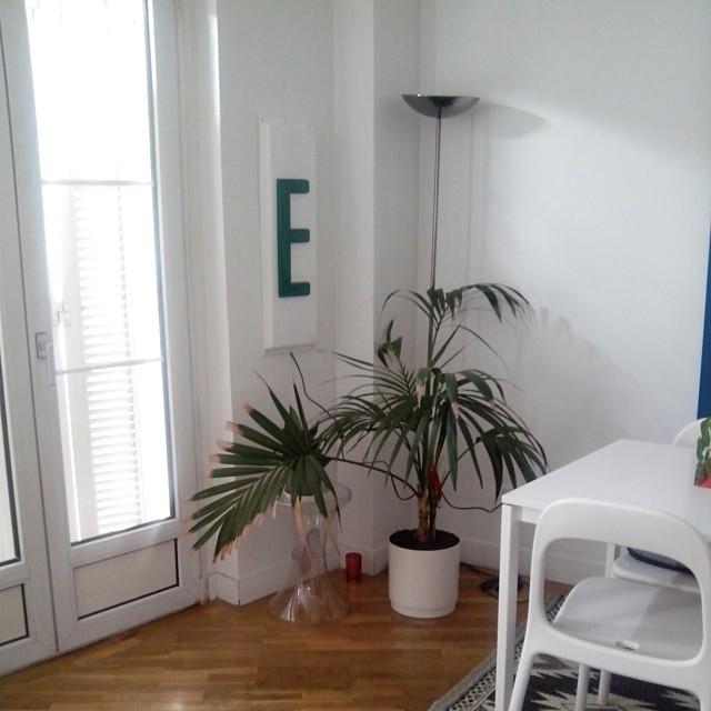 20. decorar con plantas_exterior con vitas_blog decoración