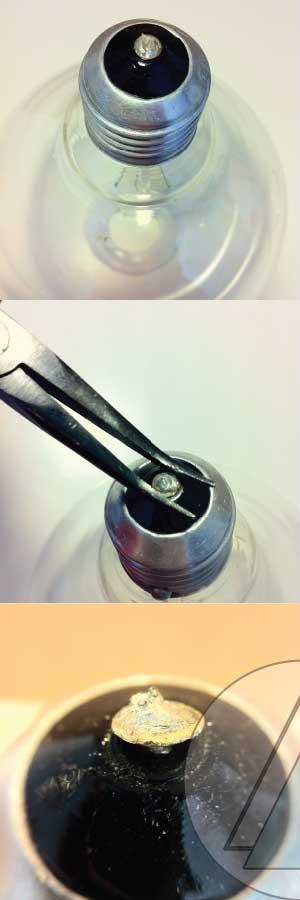 bombilla-planta-paso-1