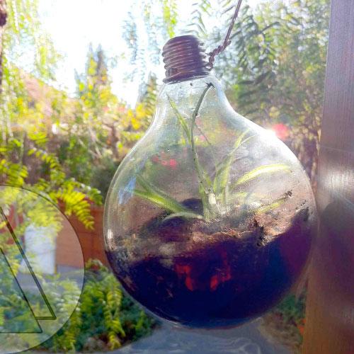 Bombilla-planta-colgar