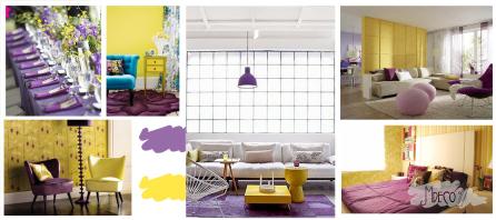 4 orkidea y amarillo